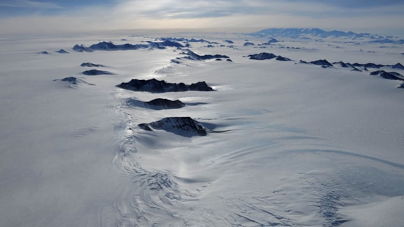 Microplastics discovered in Antarctica: 10012320