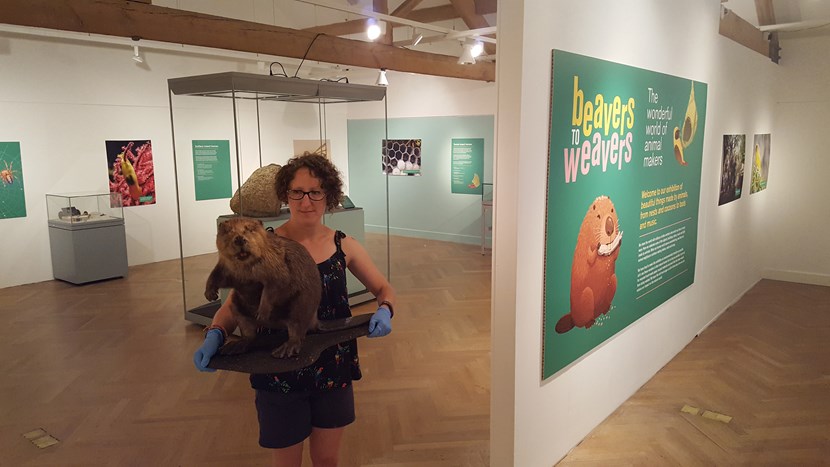 Exhibition explores animal kingdom’s grand designs and miniature marvels: 20180705-101606.jpg