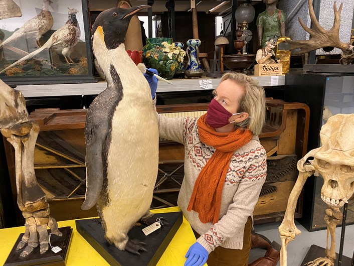 Penguin on ice: Clare Brown, Leeds Museums and Galleries' curator of natural sciences prepares to put the 100 year-old emperor penguin on ice at Leeds Discovery Centre.