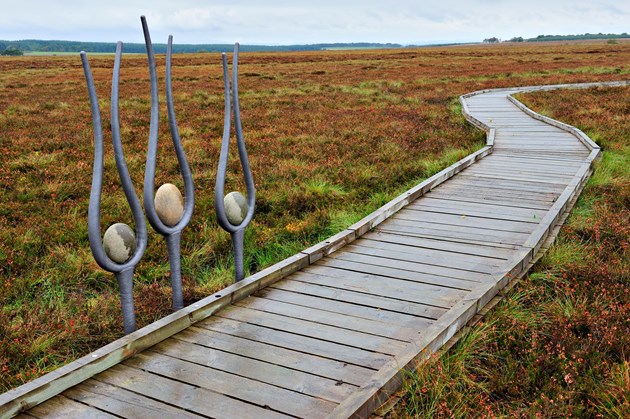 New boardwalk extension opens at popular West Lothian nature reserve: Sculptures along the boardwalk at Blawhorn Moss NNR ©Lorne Gill/NatureScot