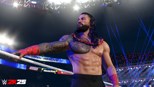 WWE 2K25