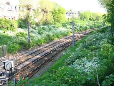 eastandwestbanknaturereserve.jpg