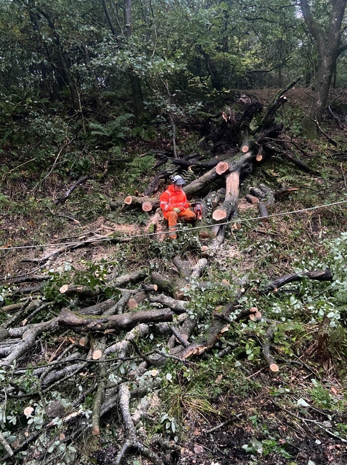 Engineer cutting back fallen tree next to railway - Hadfield (24 Oct)