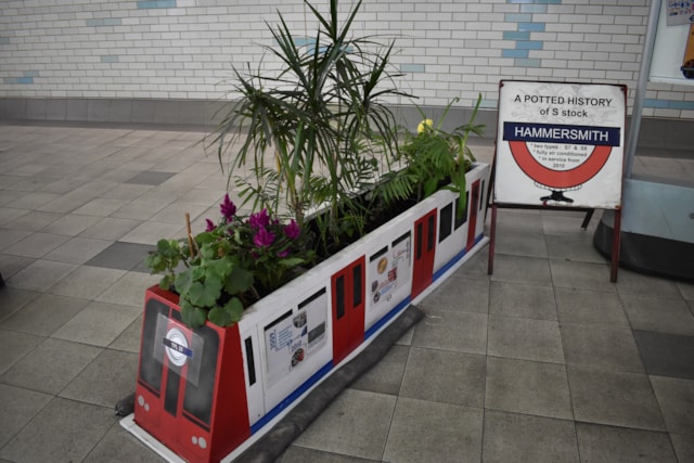 TfL Image - In Bloom 2025 Hammersmith DP
