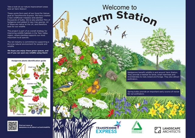 Yarm biodiversity project-7