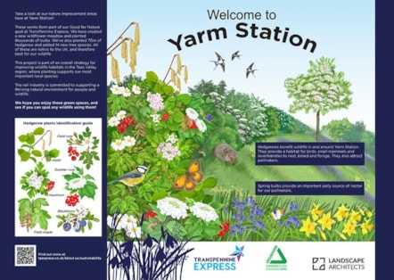 Yarm biodiversity project-7
