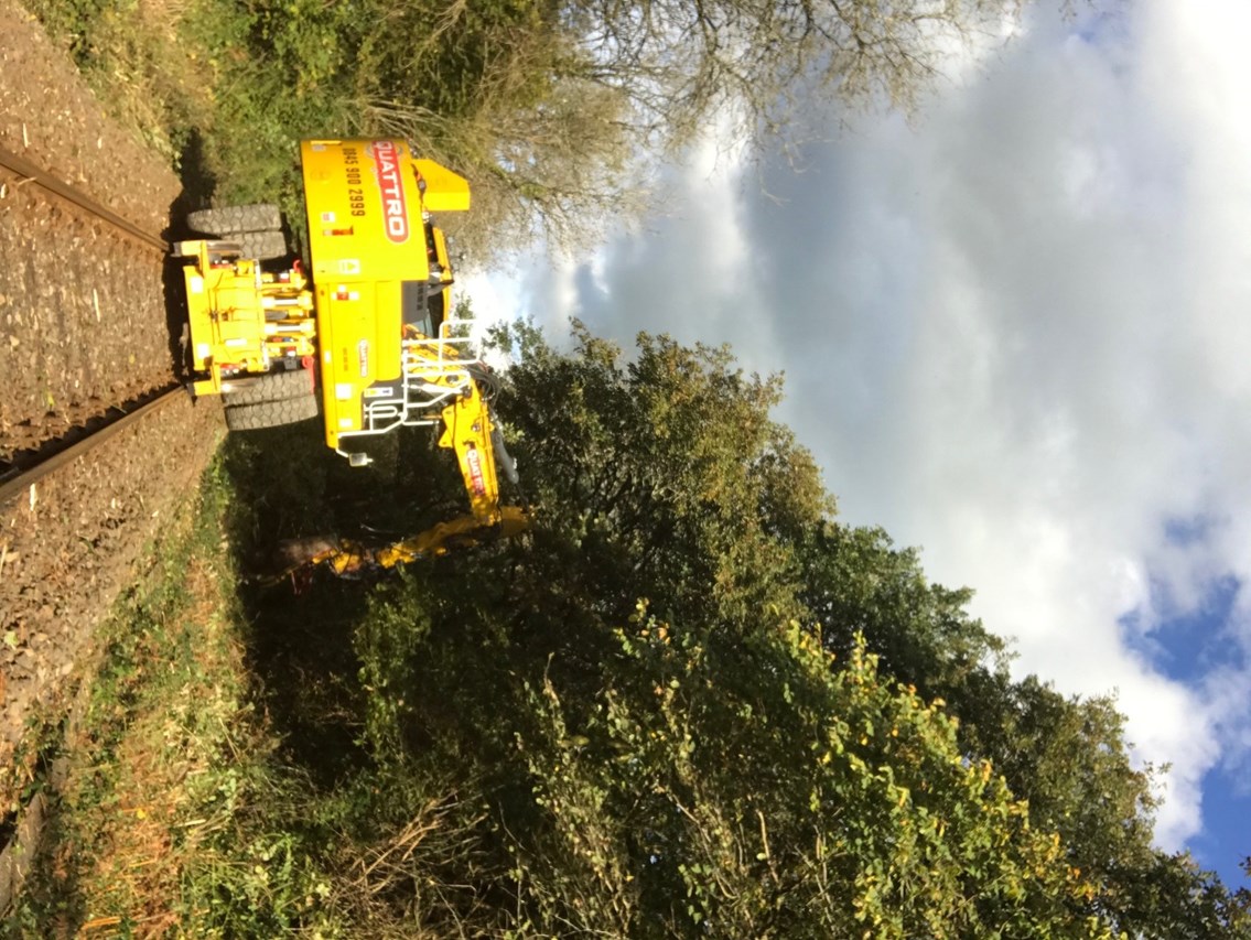 Vegetation Management West Wales 1
