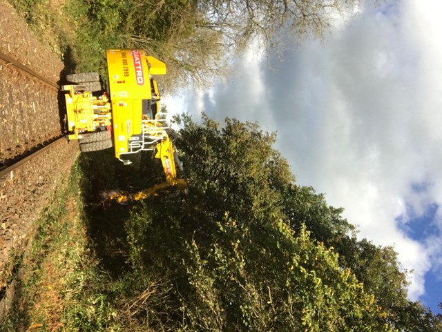 Vegetation Management West Wales 1