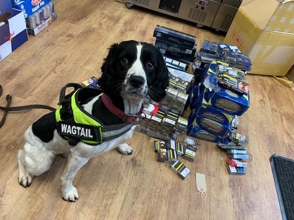 Ziggy with some of the items seized