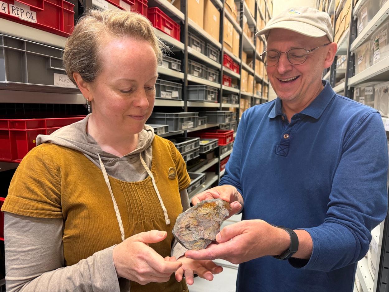 Coelacanth discovery: Curator Clare Brown, left, with geologist Ru Smith, who discovered the skull bone of a coelacanth at Roundhay park earlier this year.
The well-preserved, prehistoric skull bone was frozen in time aeons ago during an era when the park was submerged under a vast tropical lagoon.