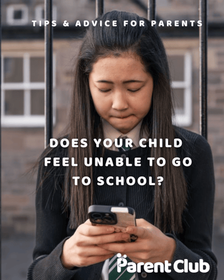 Image 1 - 4x5 - Static - School Attendance