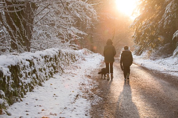 Save money and go green this Christmas with the Woodland Trust’s guide to free winter walks in the south west of England: winterwalk