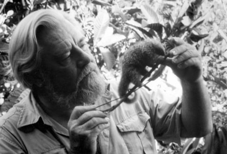 Gerald Durrell with a pygmy anteater in Panama, 1983, filming TV series Amateur Naturalist. Photo © Durrell Wildlife Conservation Trust