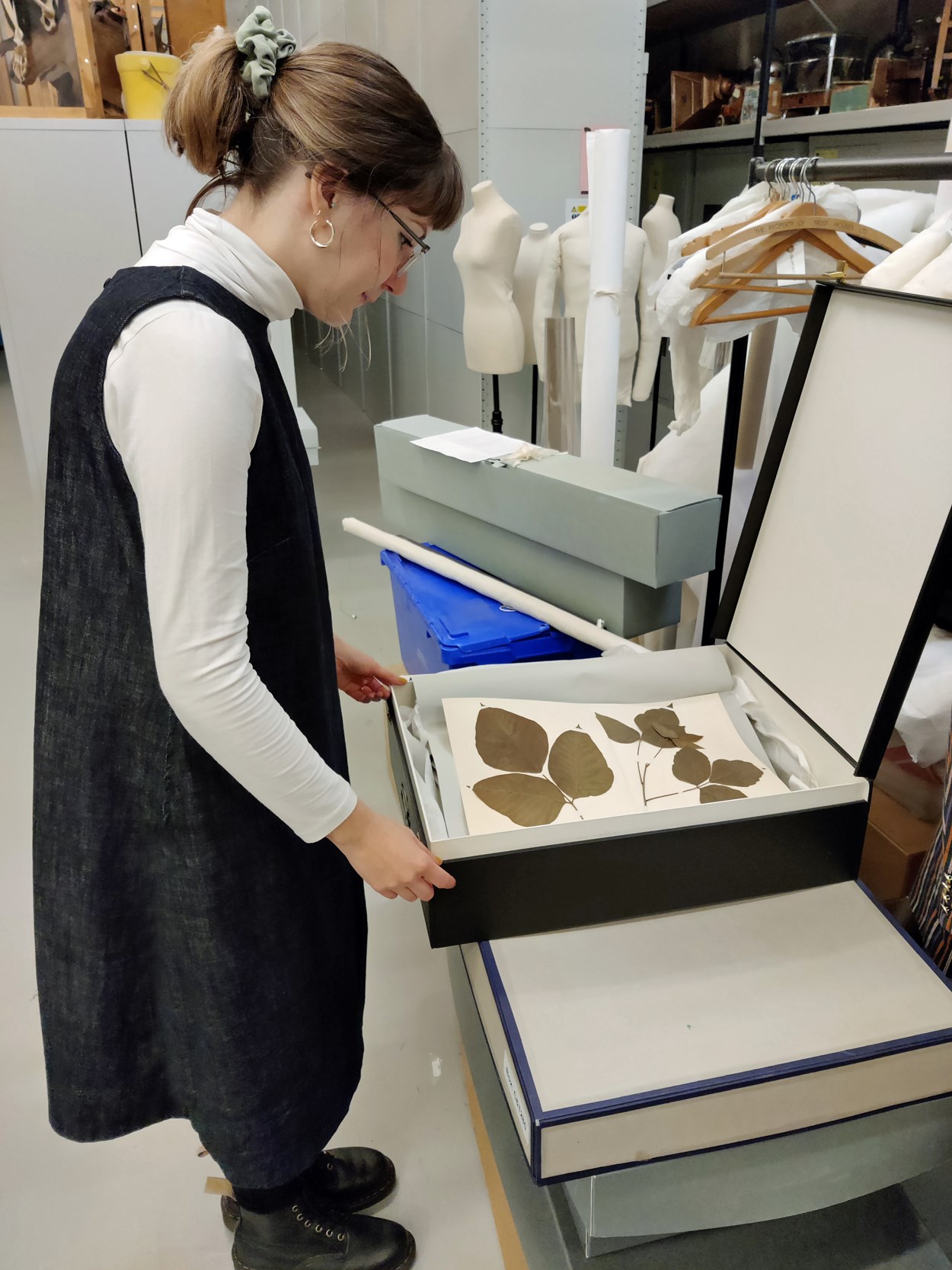 Museum Lates: Leeds Museums and Galleries' audience development officer Sara Merritt examines an example of one of the herbarium sheets created by famed 19th century collector John Grimshaw Wilkinson.