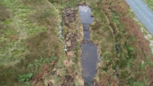 Cairnsmore of Fleet NNR - Newly created pond near the viaduct on the old In Bye ©Fraser Wilson/NatureScot