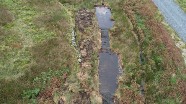 Cairnsmore of Fleet NNR - Newly created pond near the viaduct on the old In Bye ©Fraser Wilson/NatureScot