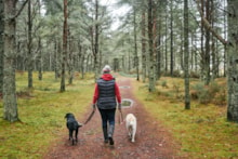 Tentsmuir Forest Credit Forestry and Land Scotland: A woman walking two dogs in Tentsmuir Forest. Credit Forestry and Land Scotland.