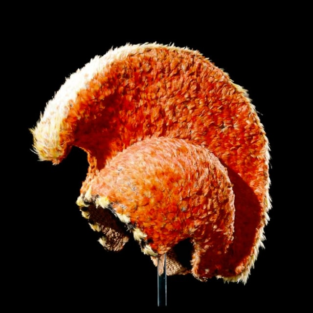 Mahiole hulu manu (feathered helmet), Hawaiʻi, possibly late 1700s © The Trustees of the British Museum