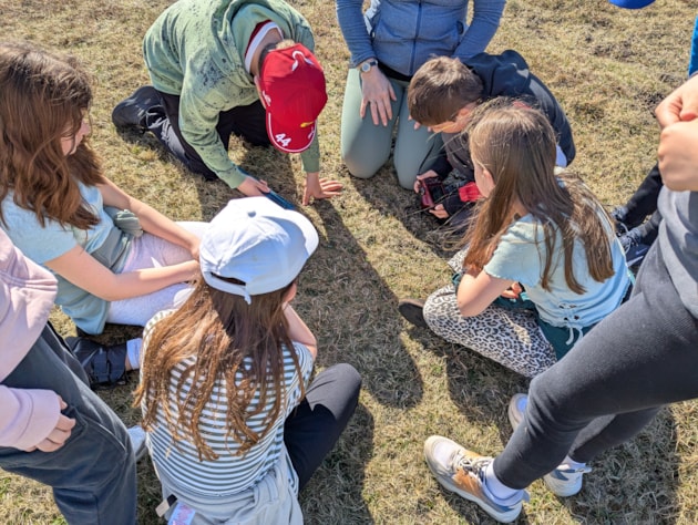 Dounby P5 quadrat survey at Yesnaby (c) Sam Stringer