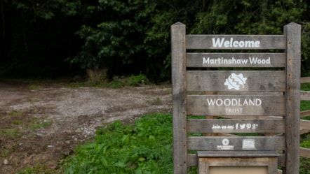 Woodland Trust Richard Faulks