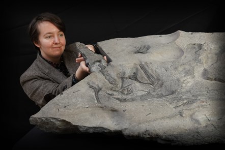 University of Edinburgh PhD student Natalia Jagielska with the Jurassic Pterosaur fossil, Dearc sgiathanach. Photo © Stewart Attwood. 3