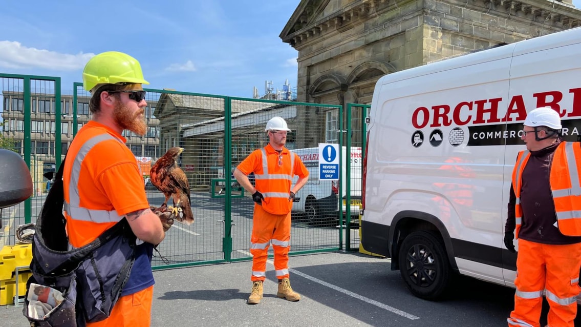 Scarborough roof 11 - Maverick the hawk at the briefing (Network Rail)