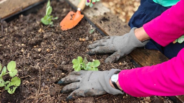 Positive impact of ABCD programme in Leeds showcased in new review: ABCD community garden