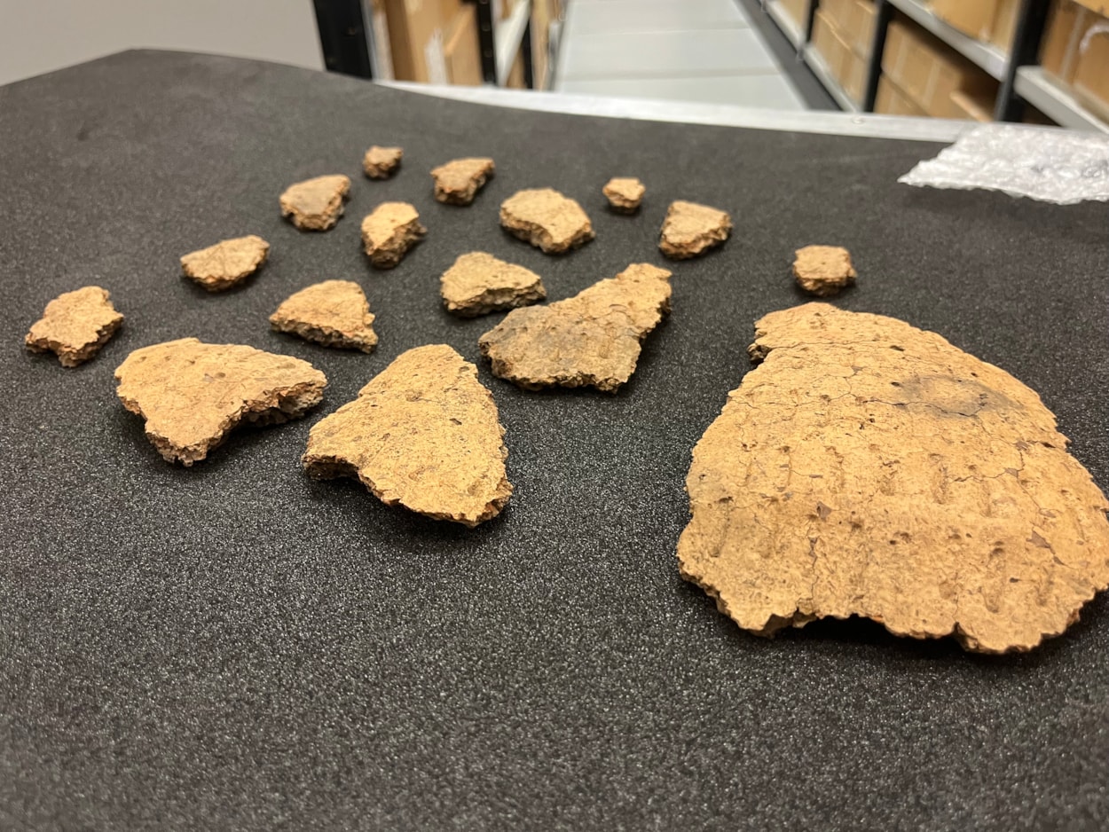Pitty Close Farm finds: Fragments of a decorated clay urn found at Pitty Close Farm in Leeds.