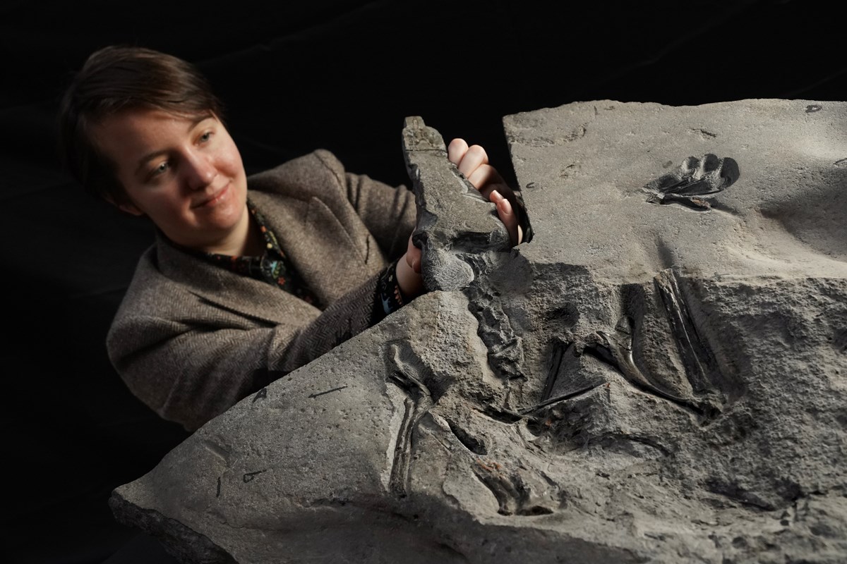 University of Edinburgh PhD student Natalia Jagielska with the Jurassic Pterosaur fossil, Dearc sgiathanach. Photo © Stewart Attwood.-3