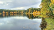 Pic 7 - Winner of the 2024 John Kennedy Trophy for Multi-purpose Woodlands for Whole Forest or Estate, Cawdor Estates, Nairn: Pic 7 - Winner of the 2024 John Kennedy Trophy for Multi-purpose Woodlands for Whole Forest or Estate, Cawdor Estates, Nairn
