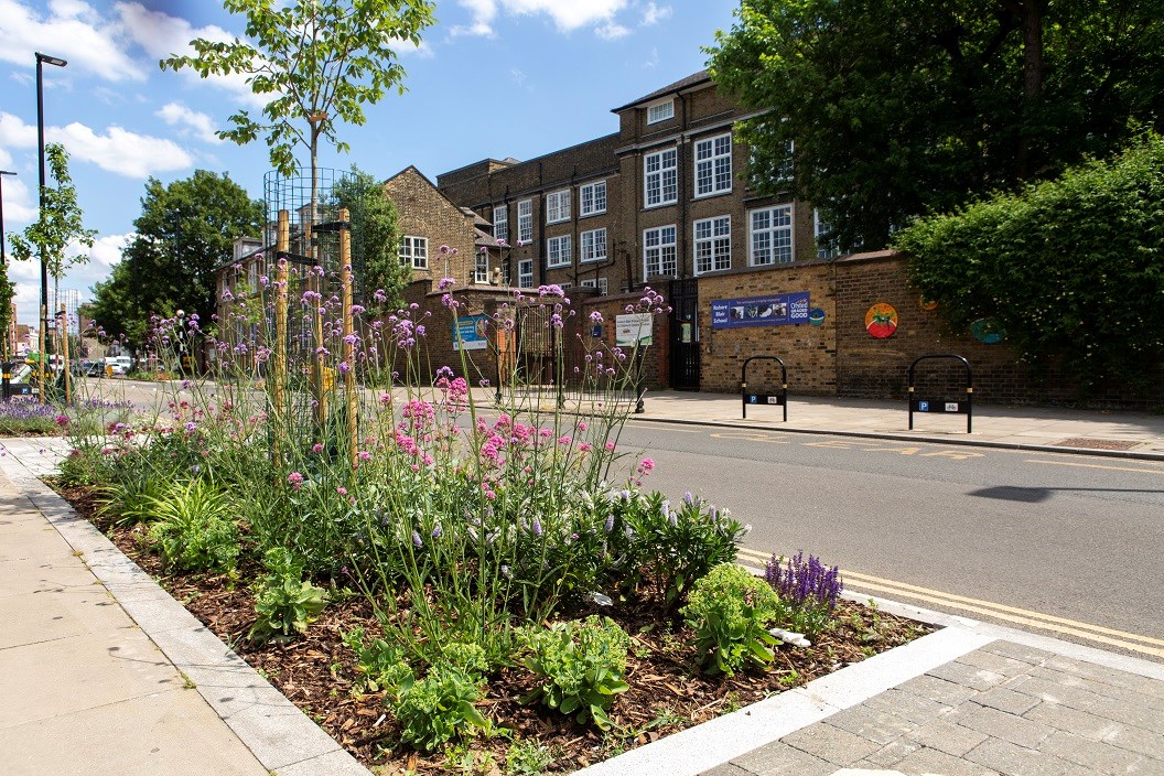A close up shot of new planting outside Robert Blair Primary School