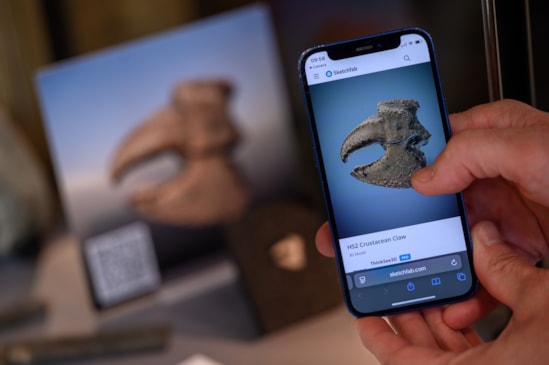 3D scan of a fossilised claw found on the HS2 project and on display ta the OUMNH: 3D scan of a fossilised claw found on the HS2 project and on display ta the OUMNH