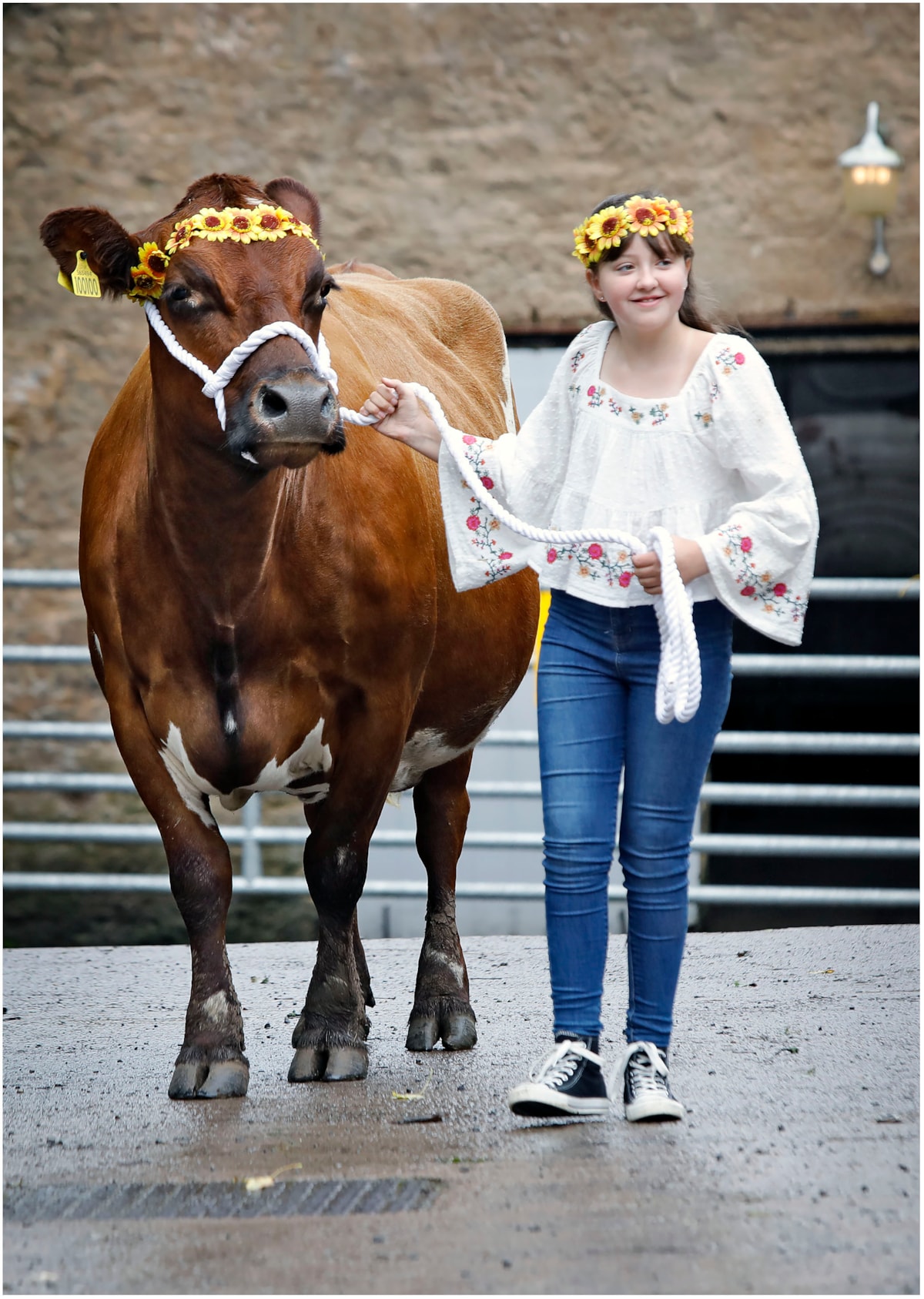 Aimee Young (10) from East Ayrshire and Nora the Ayrshire Cow at the National Museum of Rural Life. Photo (c) Paul Dodds (4) 