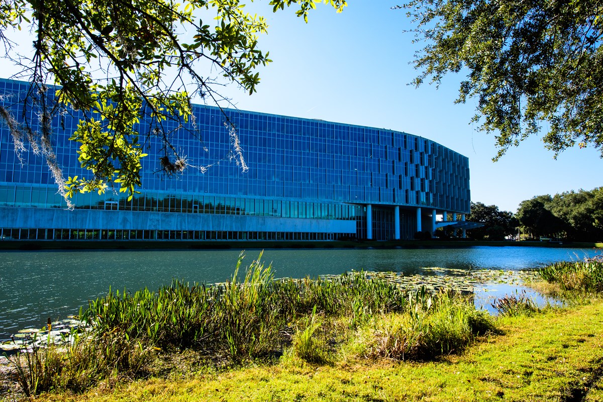 Tampa Campus Pond