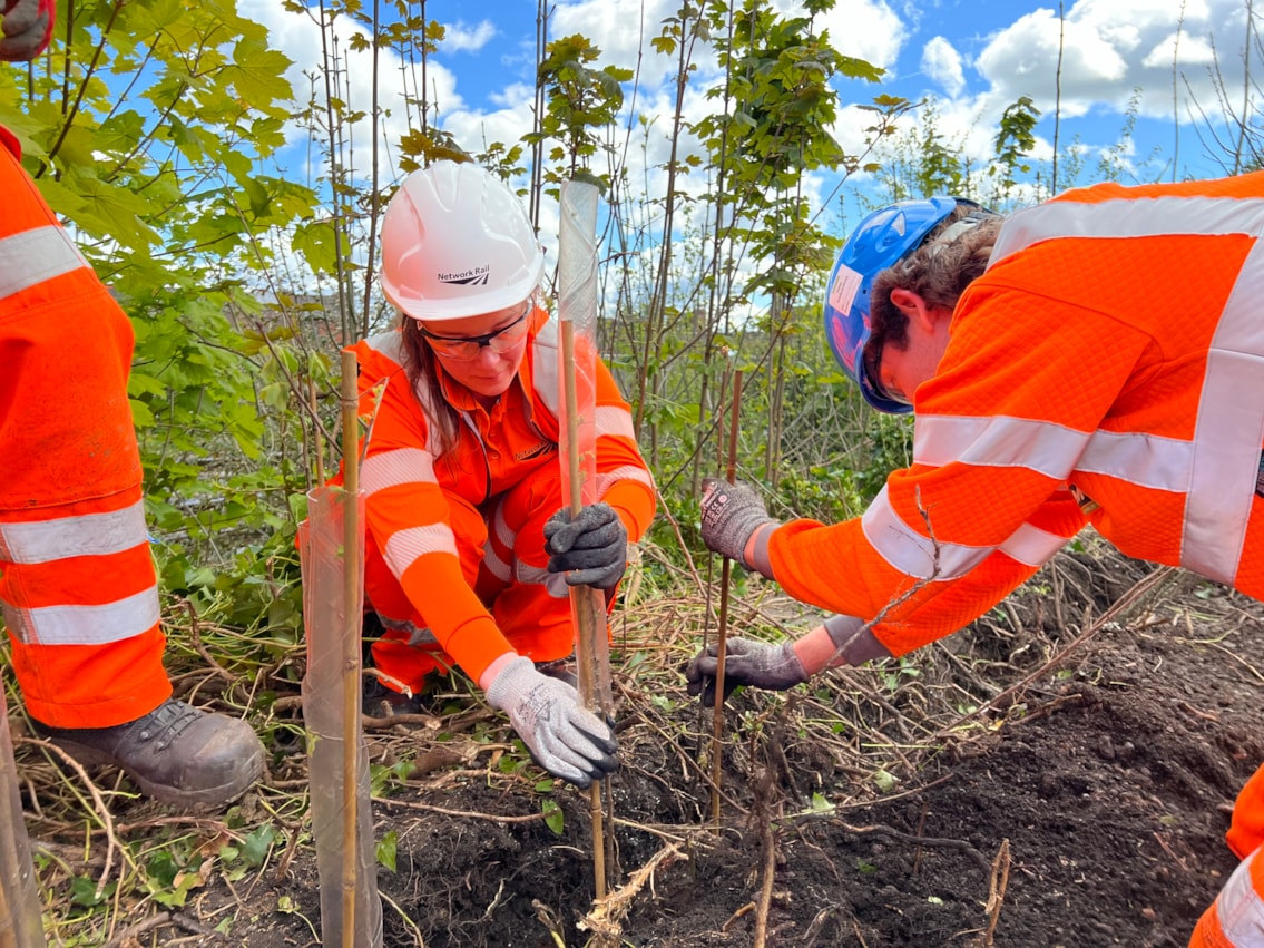 Network Rail planting a new hedgerow at Great Malvern station