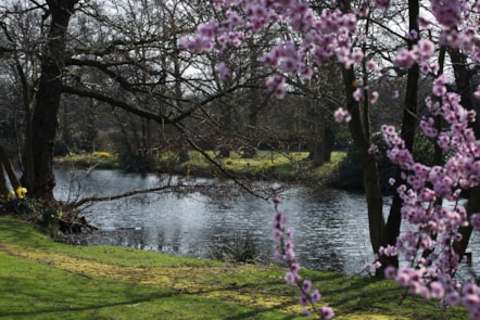 Gunton Hall Grounds