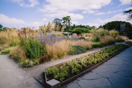 Sain Ffagan Amgueddfa Werin Cymru yng Nghaerdydd.