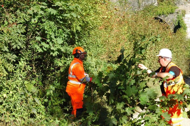 Overnight tree cutting on railway line between Shettleston and Drumgelloch: Overgrown trees pose a risk to the railway, damaging equipment, trains and causing delays