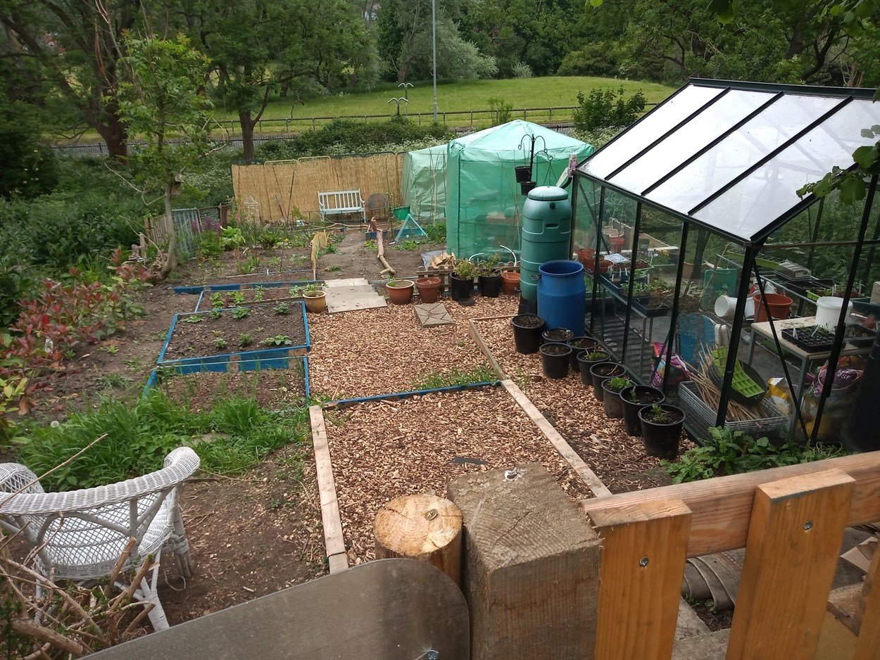 allotments: A new allotments survey has been launched by Leeds City Council this week.