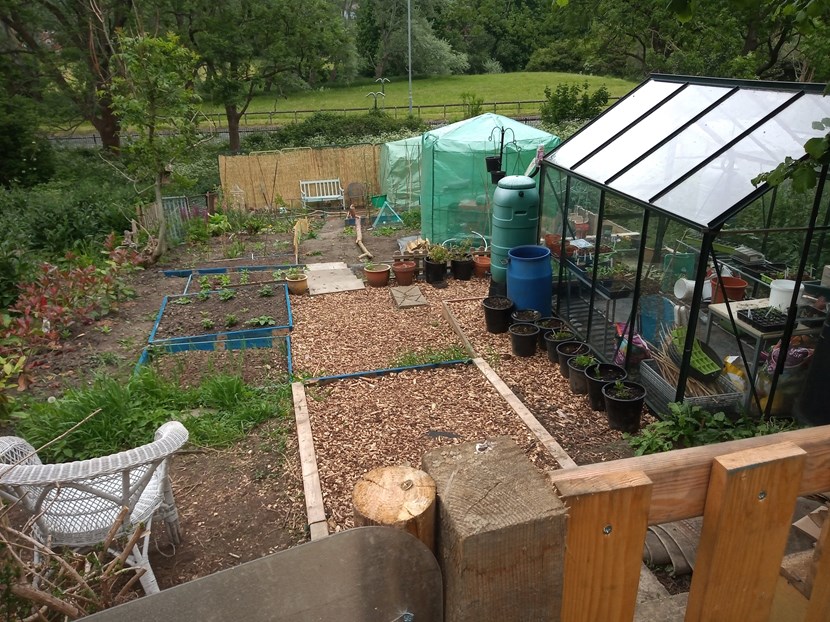 Leeds City Council allotment provision – tell us what you think in a new online survey: allotments
