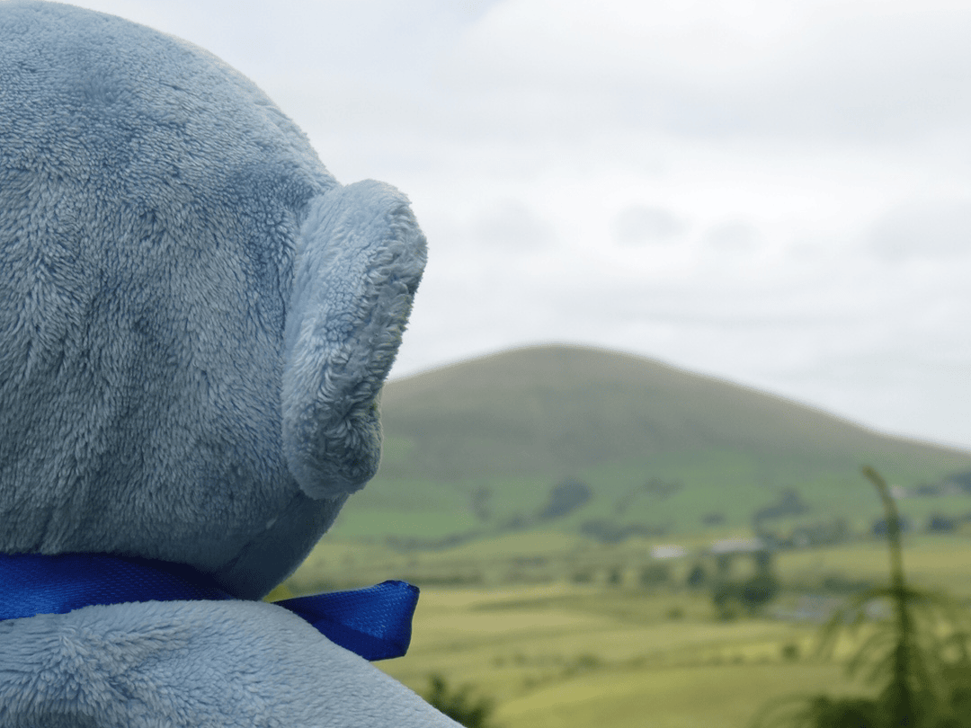 One of our rescued soft toys admiring the view at Beacon Fell-2