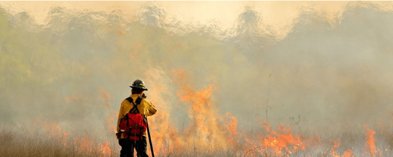 USAA Stories - Wildfire Response