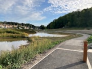 Rainscape3 (credit BHCC Flood Risk team): Rainscape3 (credit BHCC Flood Risk team)