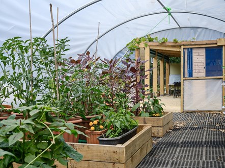 The Octopus Community Plant Nursery won the Best Edible Garden prize in Islington in Bloom 2022