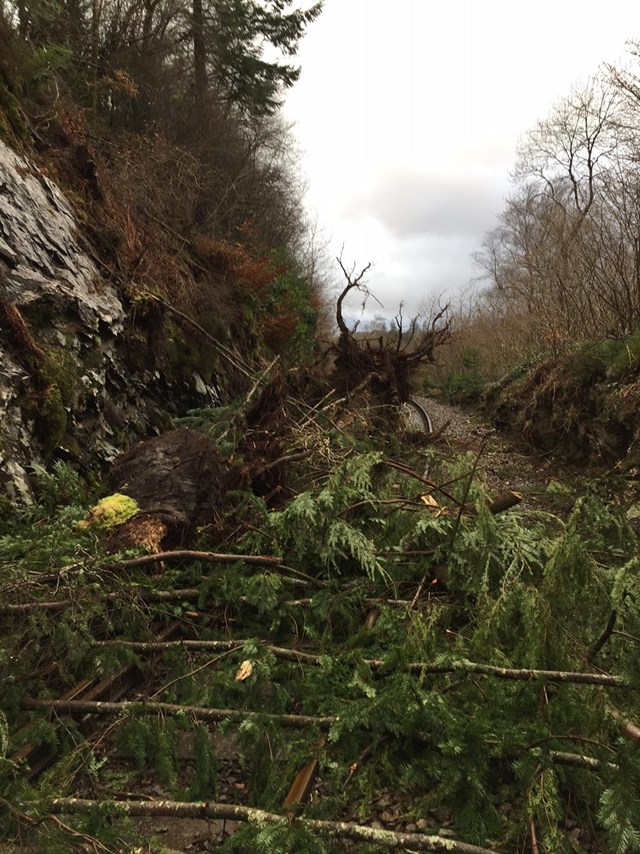 A fallen tree blocking the line at Betws-y-Coed, Conwy