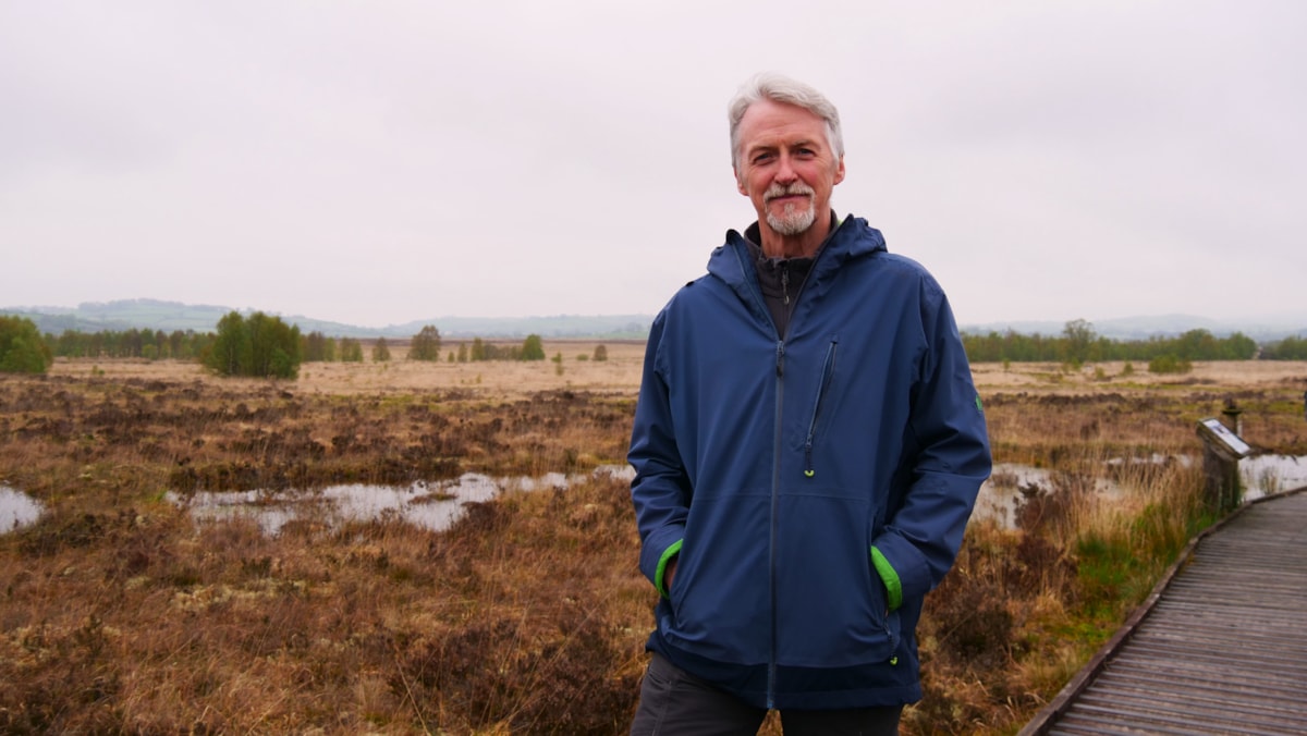 HID raised bog cors caron