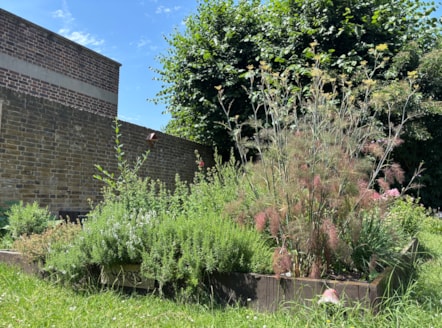 Kingsgate Estate (2)