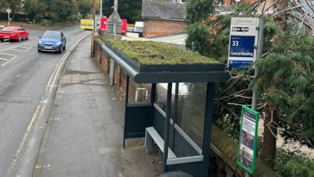 Green Bus Shelter - Southcote Road