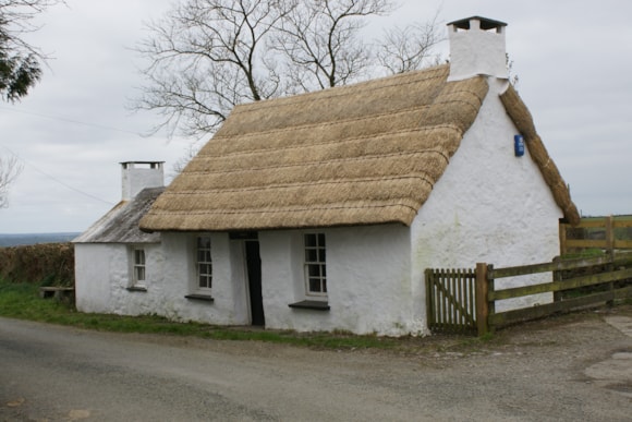 Penrhos 2012