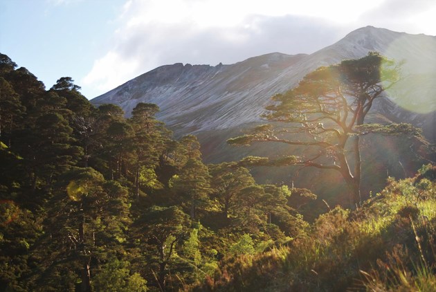 Beinn Eighe NNR photo competition winner - Allt a Chuirn and Beinn Eighe ridge ©Ben Catchpole